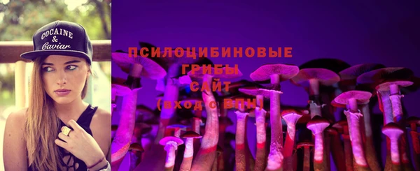 спиды Карталы