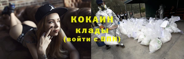 прущие грибы Карпинск
