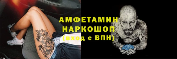 прущие грибы Карпинск