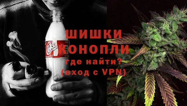 гашик Касимов