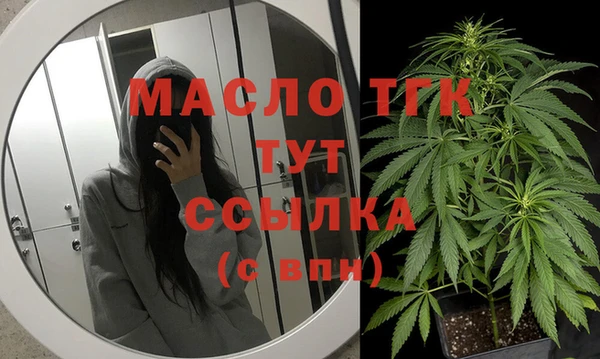 прущие грибы Карпинск