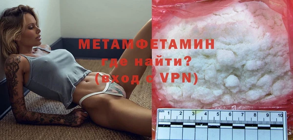 прущие грибы Карпинск