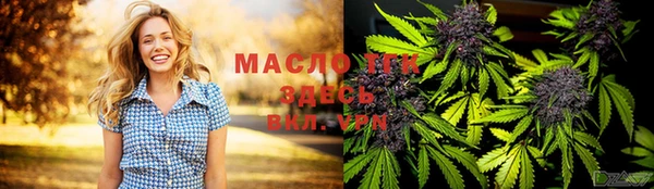 прущие грибы Карпинск