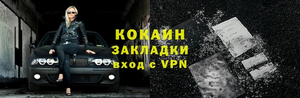 гашик Касимов
