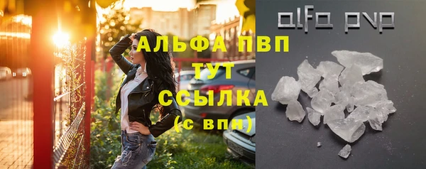 гашик Касимов