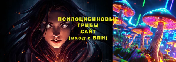прущие грибы Карпинск
