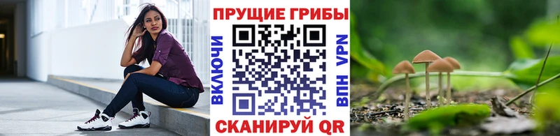 купить наркоту  Тырныауз  Галлюциногенные грибы GOLDEN TEACHER 